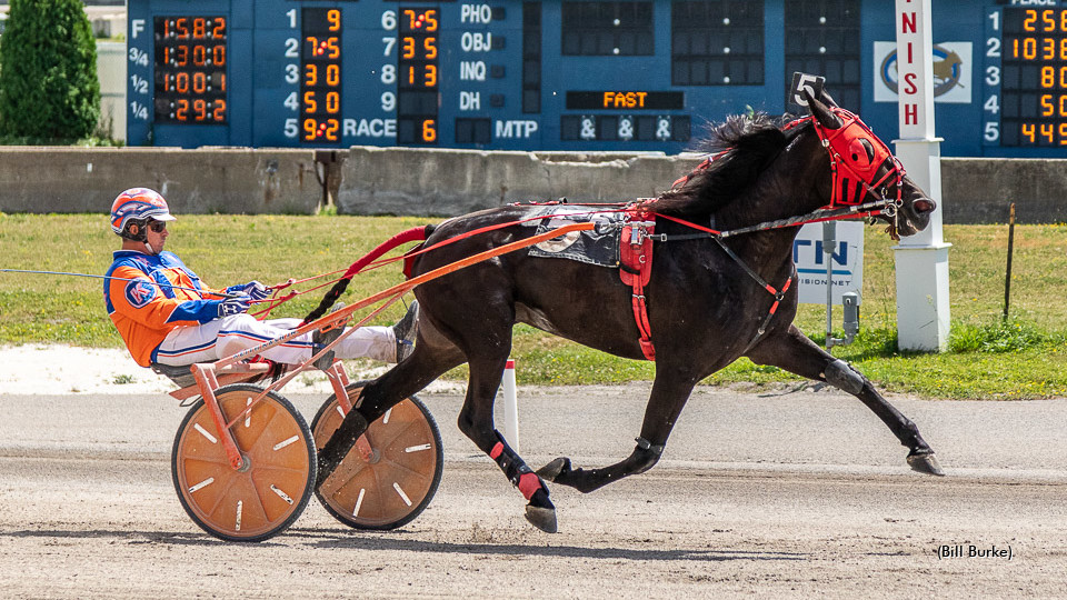 Buffalo Open To CR Blazin Beauty 