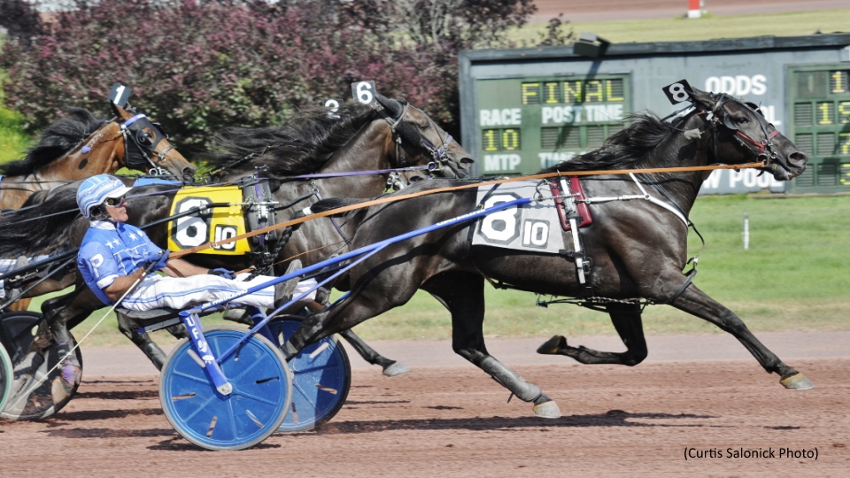 Creatarma Clicks In Pocono Top Trot