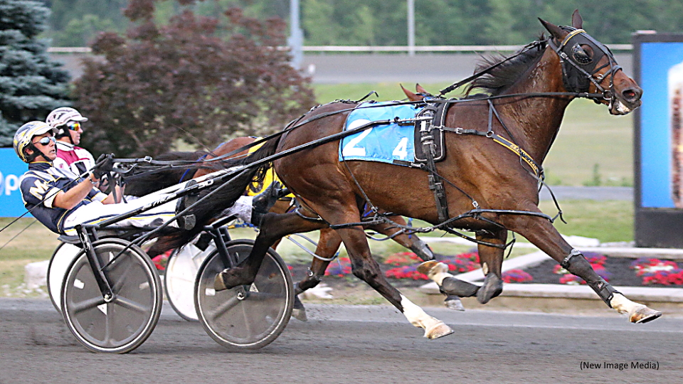 Upsetters All The Rage In Pop Up Sequel