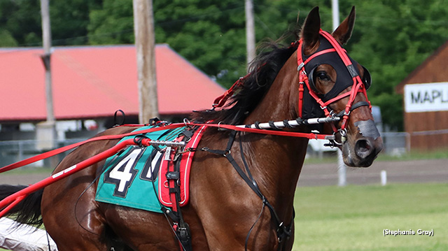 Deal With It Roman Leads Maine Breeders Final