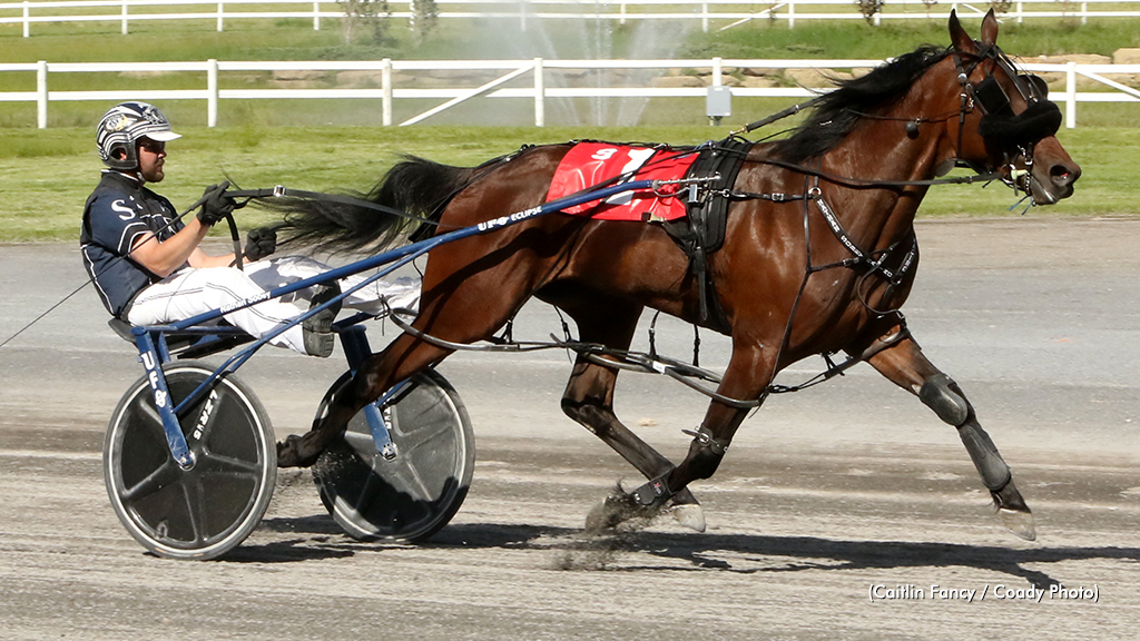 Divine Art Dazzles In Alberta Diamond