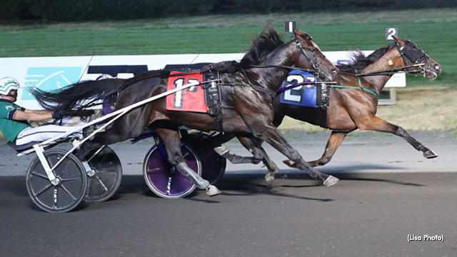 Double Deceiver On Top In Tompkins-Geers