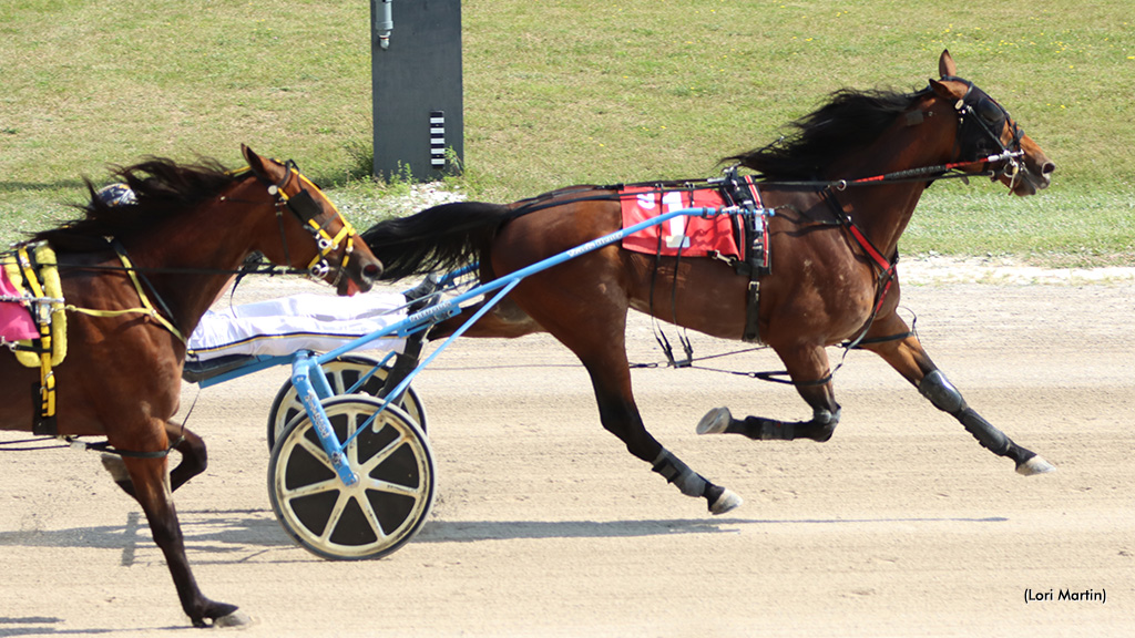 Trevor Henry Day At Hanover A Success; Dream Of Glory Elims Contested