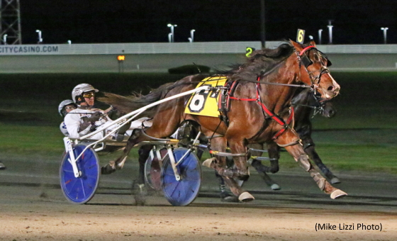 Trotting Colts Impress In Stakes At Yonkers