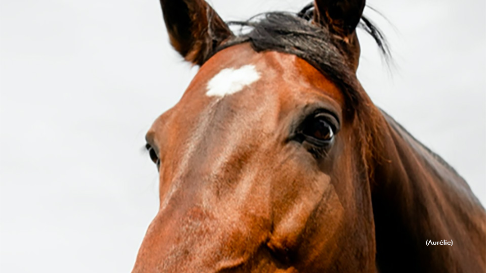 'Easy Lover' Loving Retirement