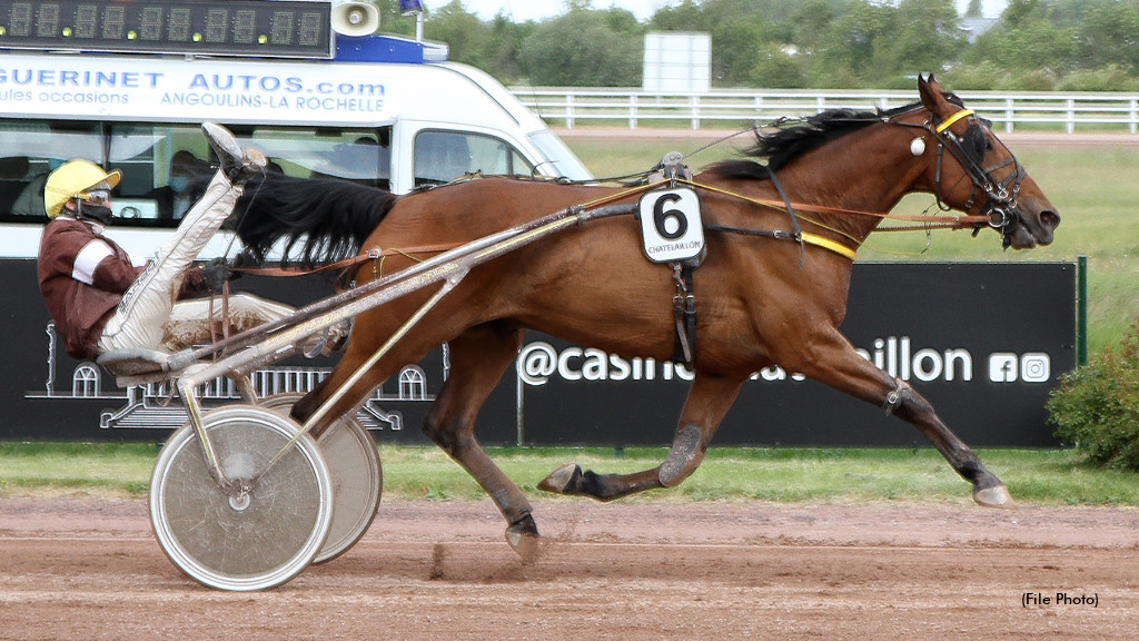 French Trotters Highlight Monday Sale