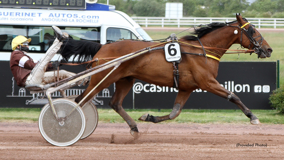 French Trotters Offered At PEO Mixed Sale
