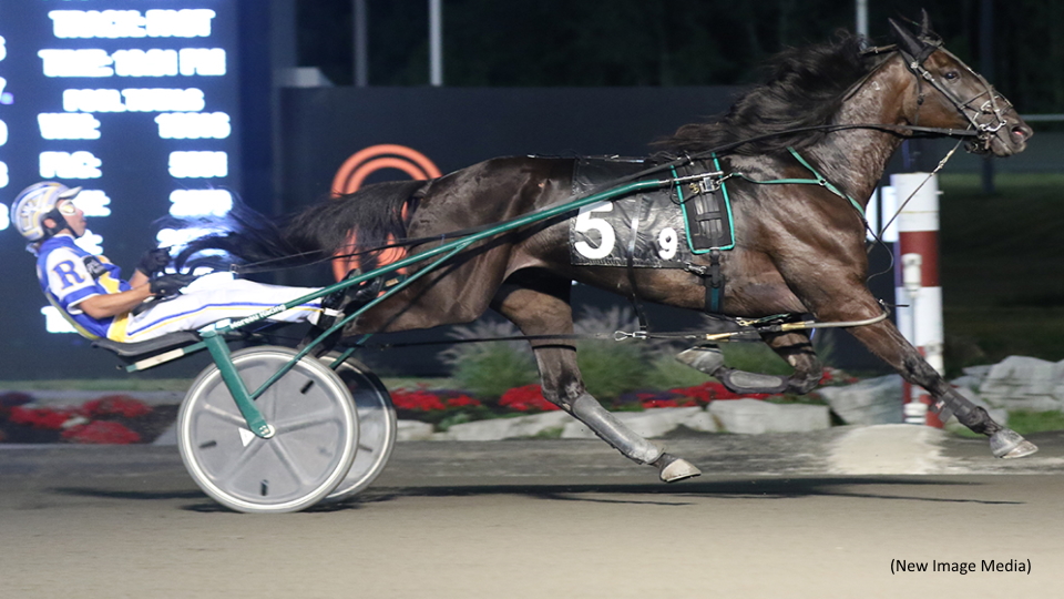 Fashion Frenzie Flogs Open Trotters At Mohawk Park