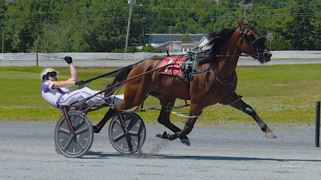 Fern Hill General Favoured On Consolation Saturday 