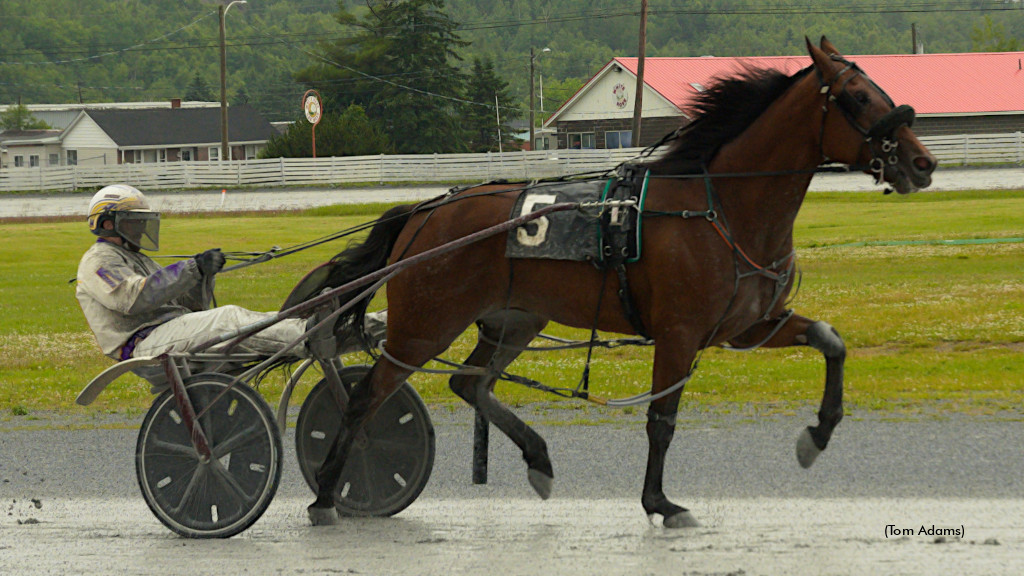 Barrieau McIsaac Stakes Set For Saturday