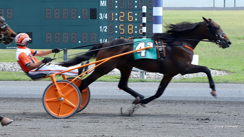 Crantini Repeats, French Wine Swift In PASS