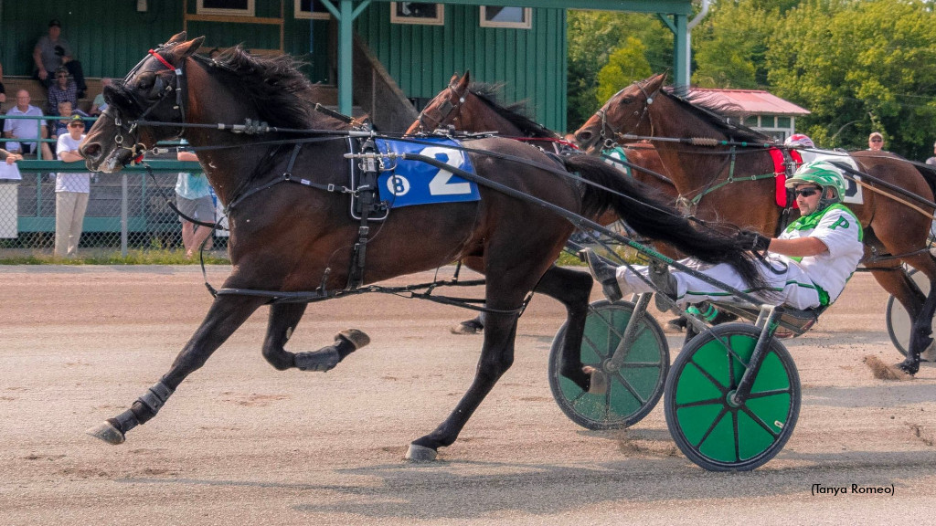 Gentry Seelster Connects In Cape Breton