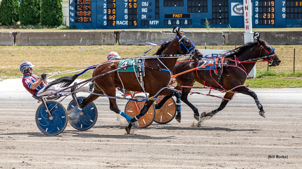 Opportunity Knocks For Goldin Kid