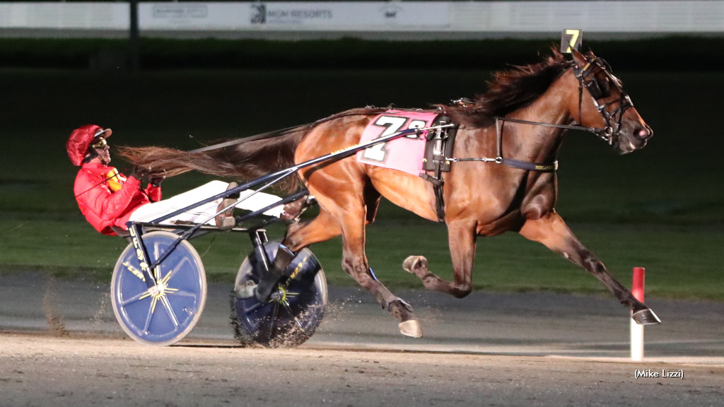 Joviality S To Race In Europe