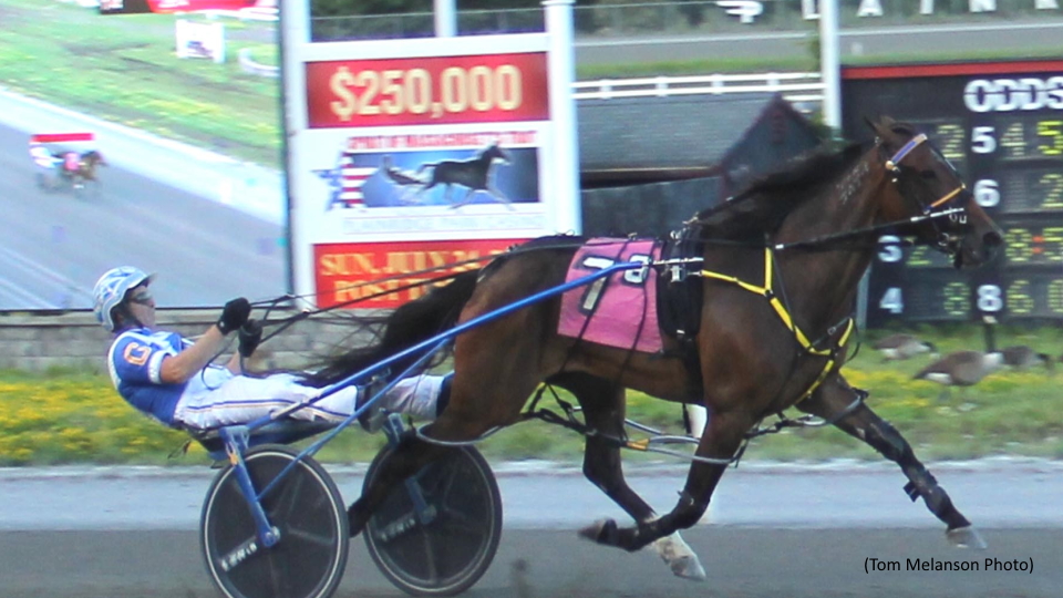 La Bella Vita N Dominates In Plainridge Open 