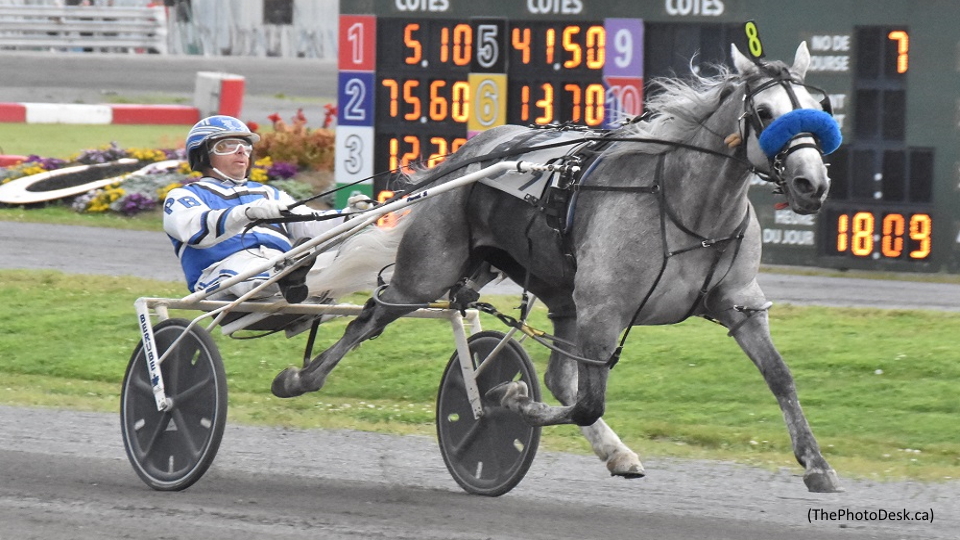 La Petite Grise Scores In Hippodrome 3R Preferred