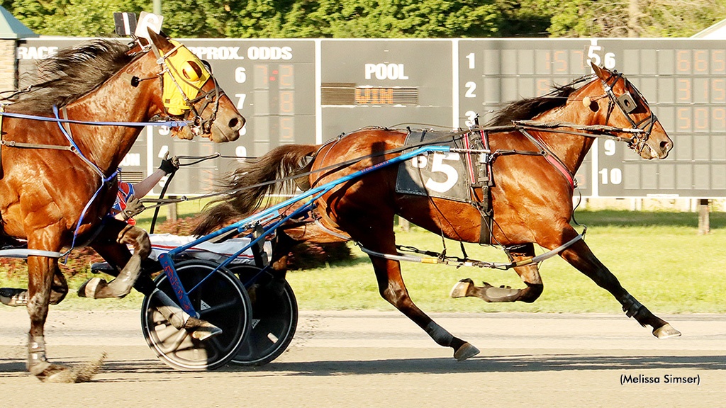Lake Charles Large In Saratoga Open