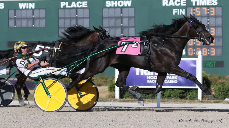Freshman Trotting Fillies Spar In Indiana Sires Stakes