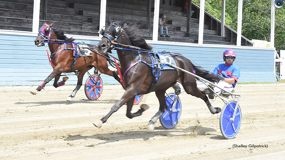 Union Fair Hosts Maine Breeders Stakes Union Fair Hosts Maine Breeders Stakes