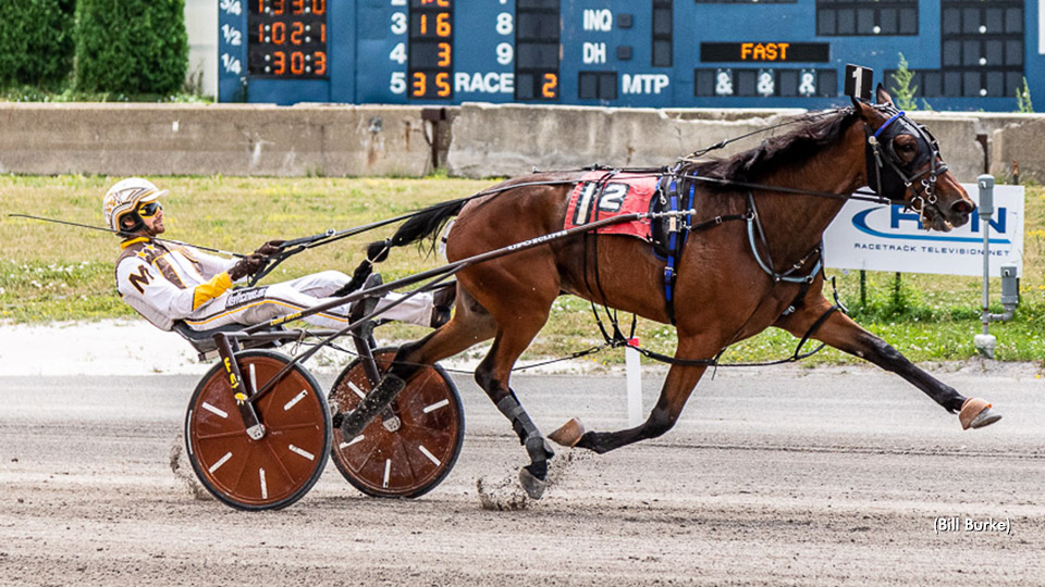 Metro Matty Marches In Buffalo NYSS