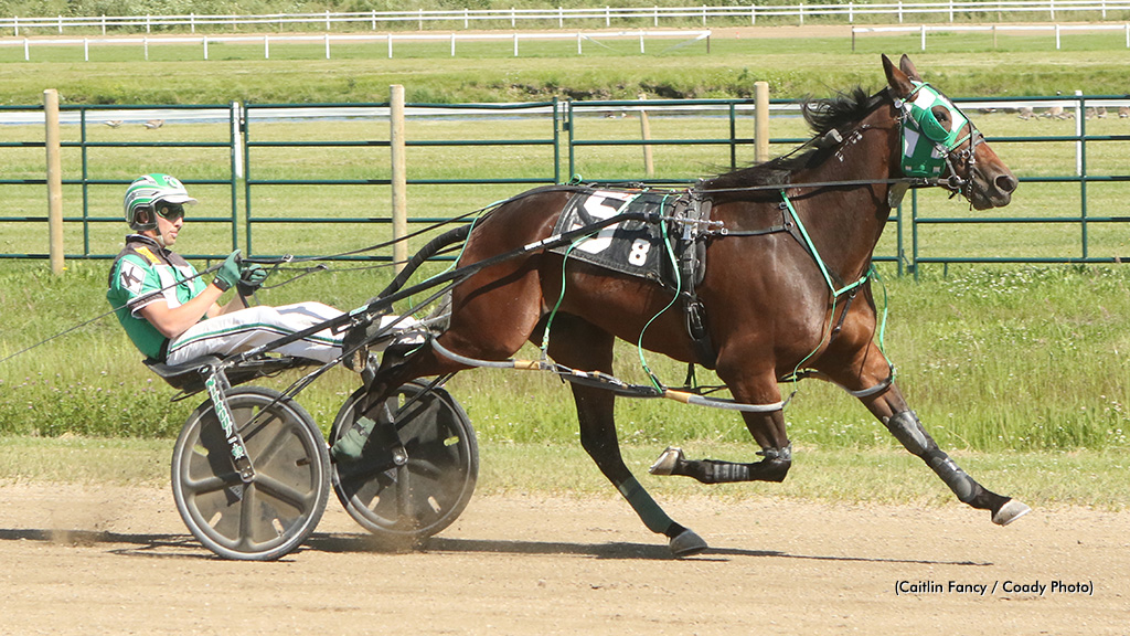 Kelly Clobbers In Lacombe