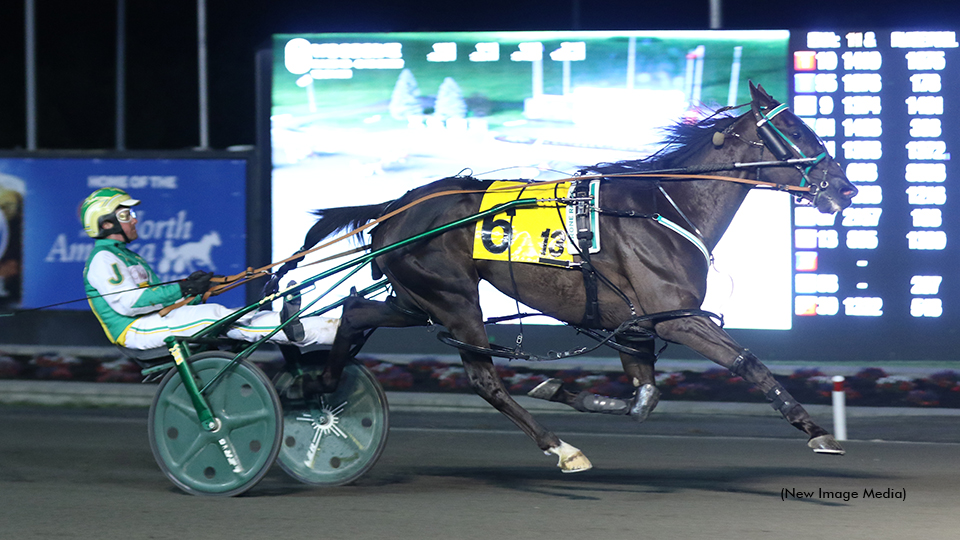 An East Coast Plan For Jamieson's Homebred