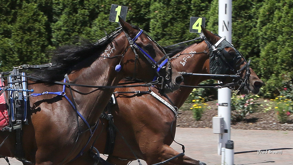 Prairie Westerngal Wins Tioga Open