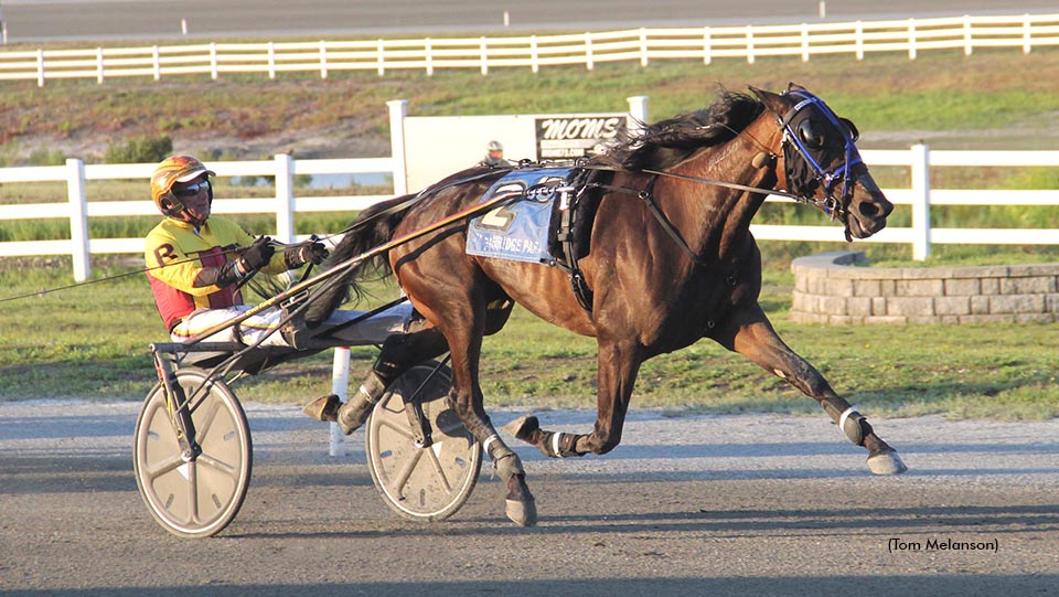 Queen Of All Continues Winning Ways In Plainridge Open
