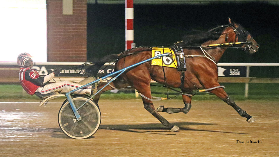 Saddle Up Scores In Aces Open