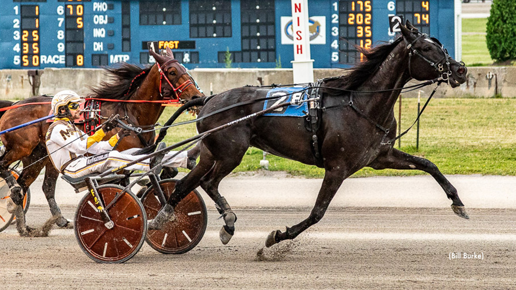 Sanchez Rocks Delivers Knockout At Buffalo