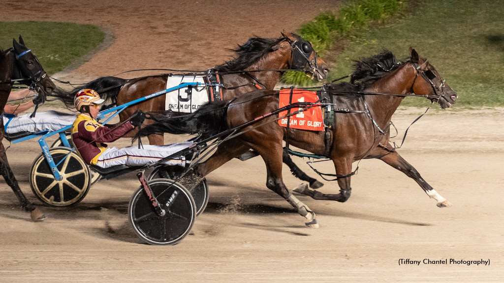 Sea Can Sharp In Dream Of Glory Trot