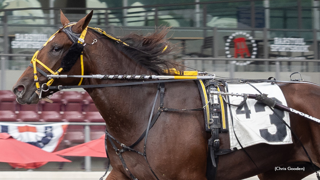 Seatoshiningsea Makes Splashy Meadows Debut