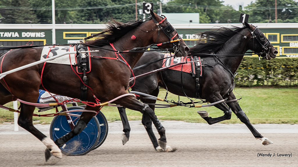 Seven Hundred, JD Score In NYSS