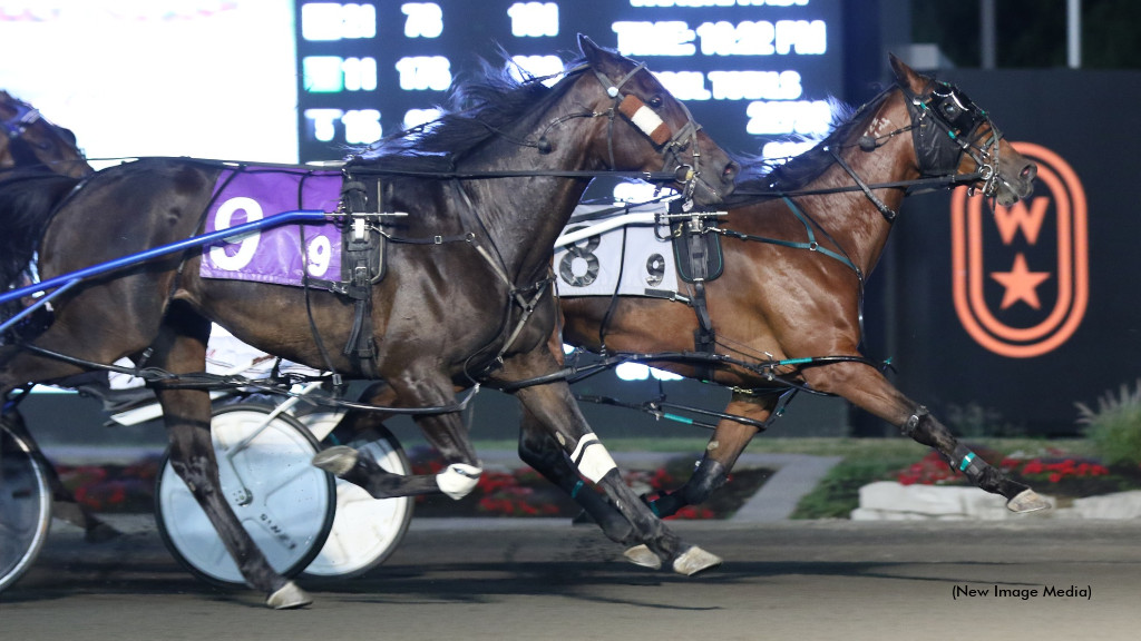 Shes Nun Bettor N Best In Mares Preferred