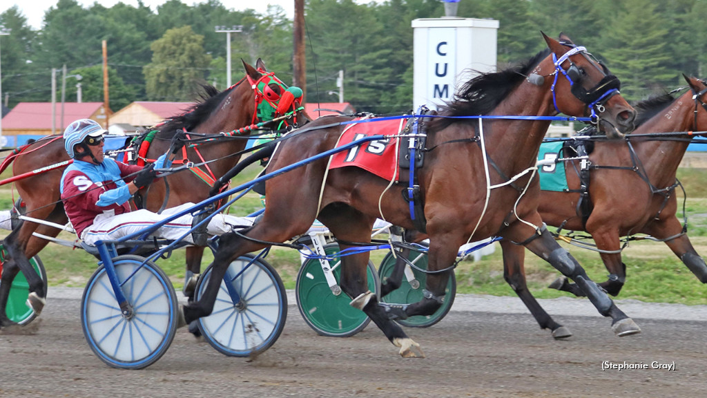'Leviathan' Large In Cumberland Open