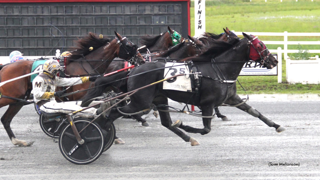 Beckwith Elims Contested At Plainridge