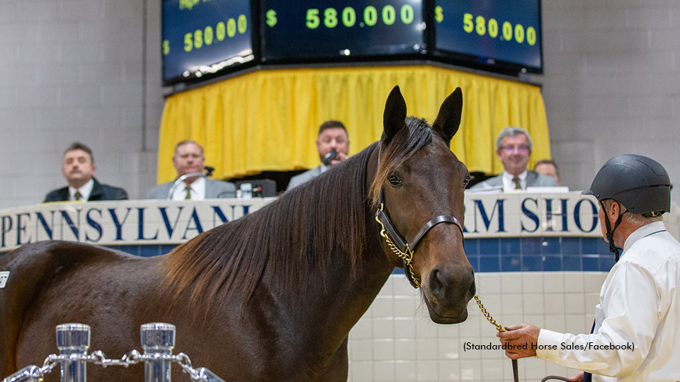 Standardbred Horse Sales Renews Mast Auctioneers Partnership