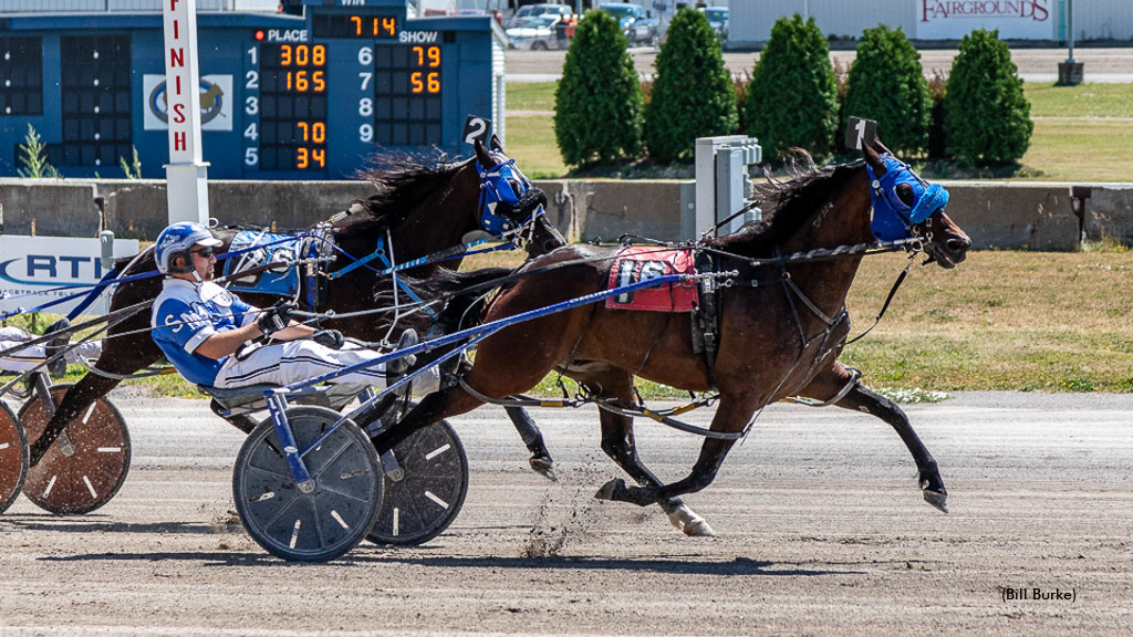 UNY-USHWA Announces Batavia Horses Of The Meet