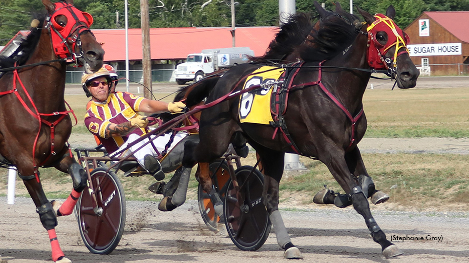 Swan Fine Lady Conquers Cumberland Open