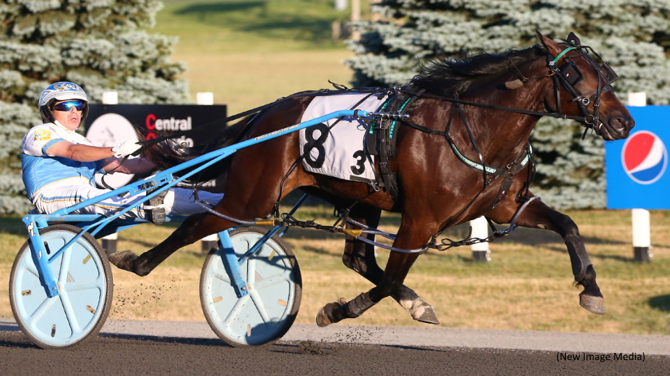 Fillies Storm Into Mohawk For Grassroots Divisions