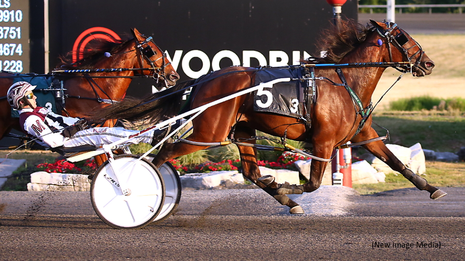 Freshman Fillies Wage War In Whenuwishuponastar
