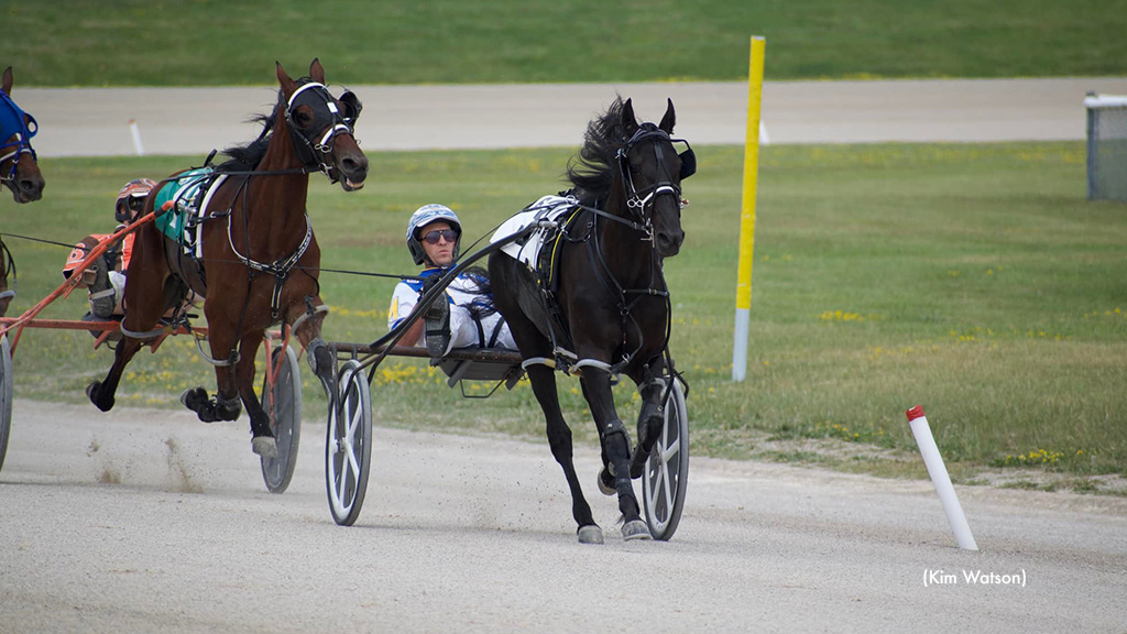 Field Set For $50,500 Kin Pace