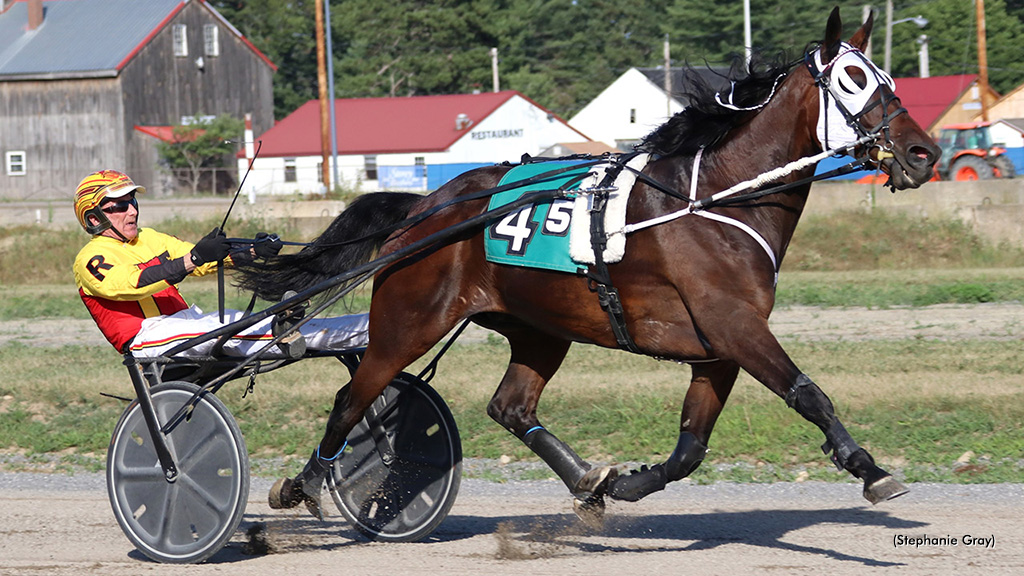 Vesuvio Bi Victorious In Cumberland Track Record