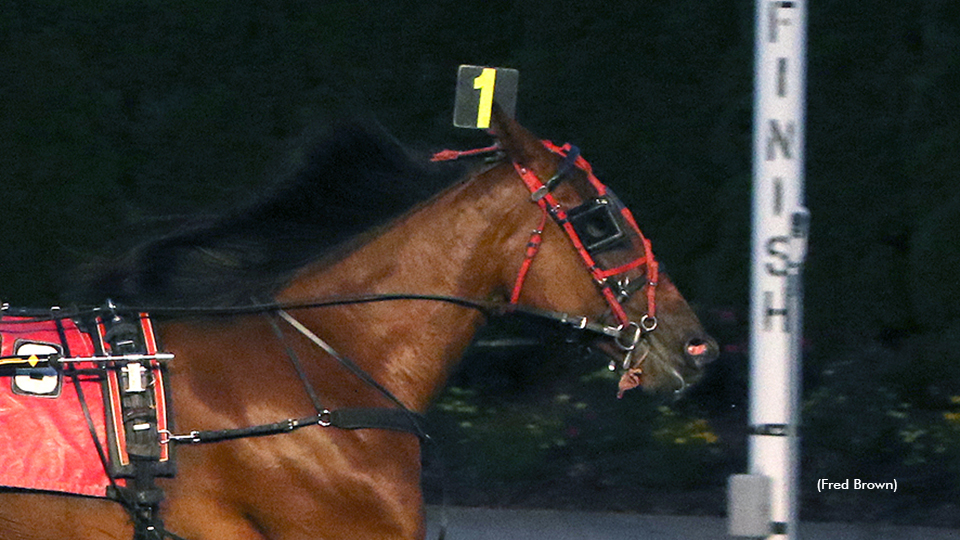 Vivians Dream Remains Perfect In NYSS Vivians Dream Remains Perfect In NYSS