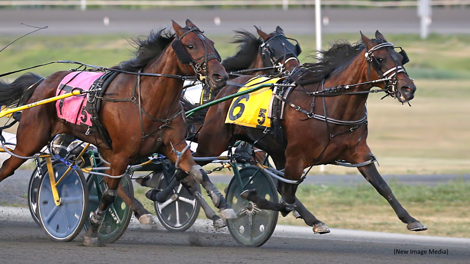 Speed Rules For Fillies In Grassroots Divisions