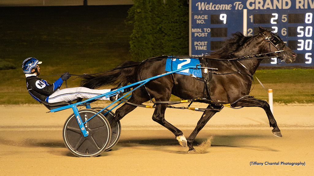 Yacht Seelster Swift In Preferred