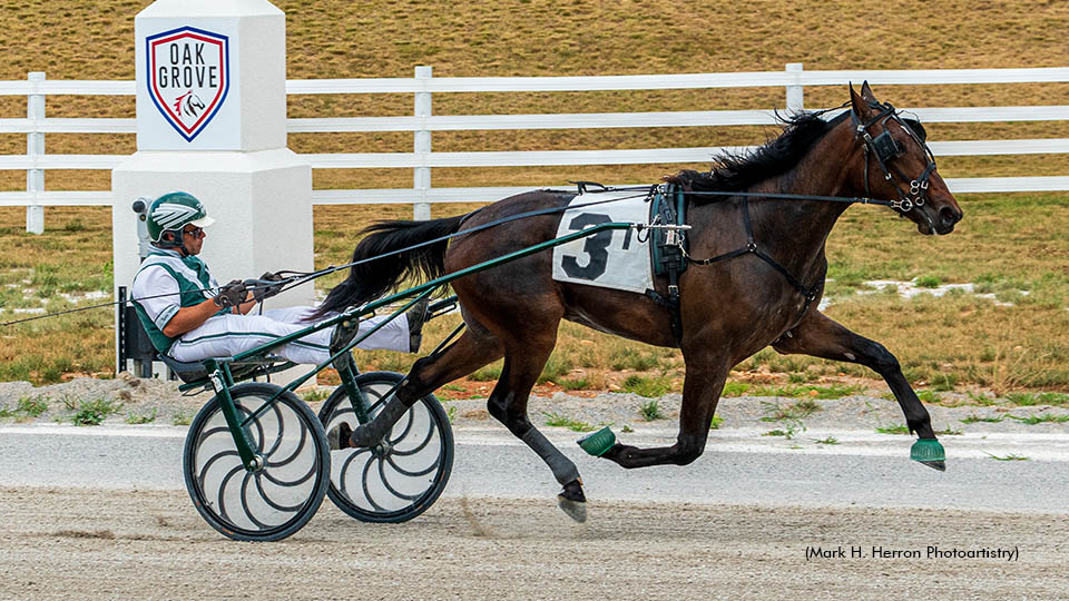 Round Two: Two-Year-Olds Face Off In KY Stakes