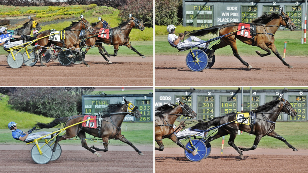 Beach Glass Sparkles On Sun Stakes Saturday