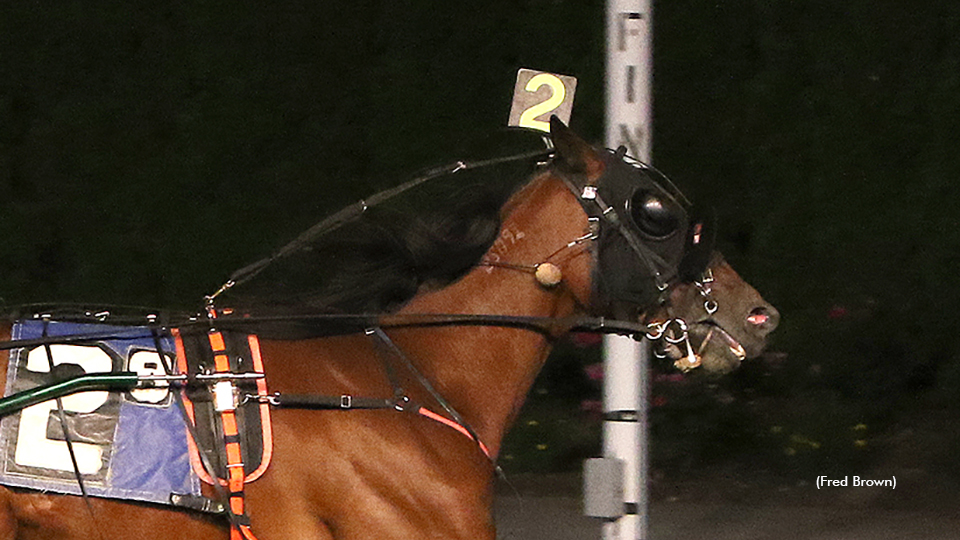 Merton And Lareau Dominate At Tioga