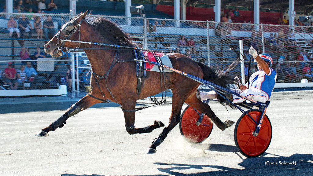 Top PA Fair Horses Expand Win Totals